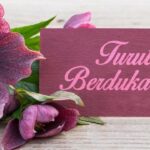 Rohaniawan Romo Mudji Sutrisno Berpulang di Usia 71 Tahun