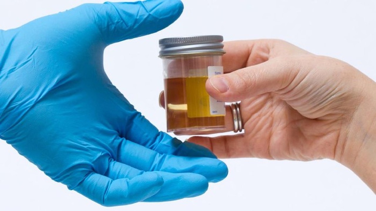 2.263 Napi dan 235 Petugas Lapas Narkotika Jakarta Dites Urine Massal