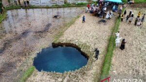 Fenomena Sinkhole Muncul di Sawah Sumbar: Ahli Geologi Jelaskan Penyebab dan Pencegahannya