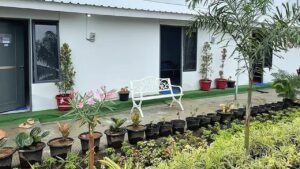 Korban Banjir Aceh Tamiang Tempati Hunian Danantara, Rika Jahara: Senang Sekali, Jangan Dipindah Lagi