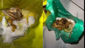 Wadah Kantong Plastik untuk Makanan Bergizi Balita-Bumil, BGN Beri Penjelasan