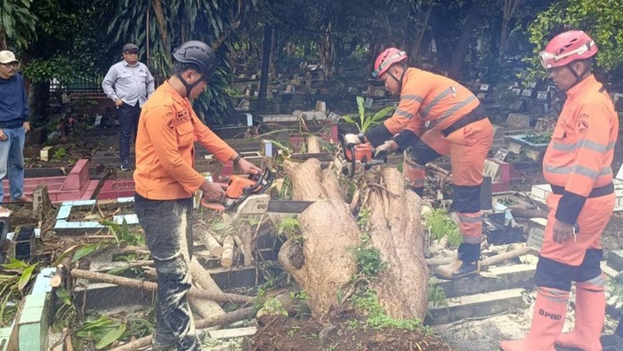 Dua Pohon Tumbang di Bogor Timpa Makam dan Tutup Jalan, Kini Telah Dievakuasi