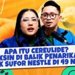 BPOM Temukan Toksin Cereulide pada Susu Formula Nestle, Tarik Produk dari 49 Negara