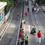 Oknum ASN Bina Marga Jaksel Diduga Tebang Pohon Ilegal, Izin Hanya untuk Pemangkasan