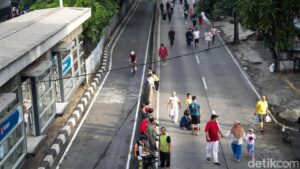 Oknum ASN Bina Marga Jaksel Diduga Tebang Pohon Ilegal, Izin Hanya untuk Pemangkasan