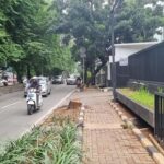 Oknum ASN Terancam Hukuman Usai Tebang Pohon di Jalan Iskandar Muda Jakarta Selatan
