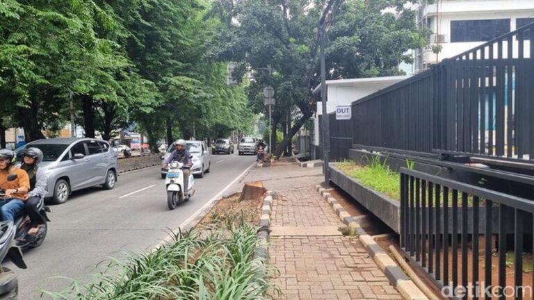 Oknum ASN Terancam Hukuman Usai Tebang Pohon di Jalan Iskandar Muda Jakarta Selatan