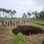 Lubang Raksasa Muncul di Sawah Warga Sumbar Pasca Terdengar Suara Ledakan