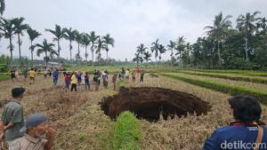 Lubang Raksasa Muncul di Sawah Warga Sumbar Pasca Terdengar Suara Ledakan