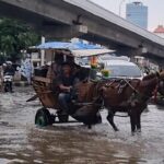 Banjir Kelapa Gading, Delman Jadi Solusi Warga, Kusir Raup Cuan Ratusan Ribu