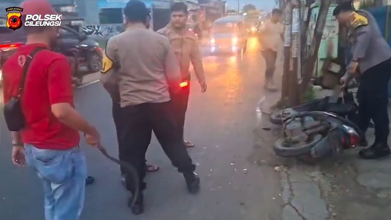 PHL Polres Bogor Jatuh Ditendang Begal, Pelaku Dikejar Hingga Tabrak Tiang Listrik PHL Polres Bogor Jatuh Ditendang Begal, Pelaku Dikejar Hingga Tabrak Tiang Listrik