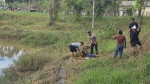 Buaya 3 Meter Terkam Emak-emak di Tarakan, Polisi Berhasil Selamatkan Korban