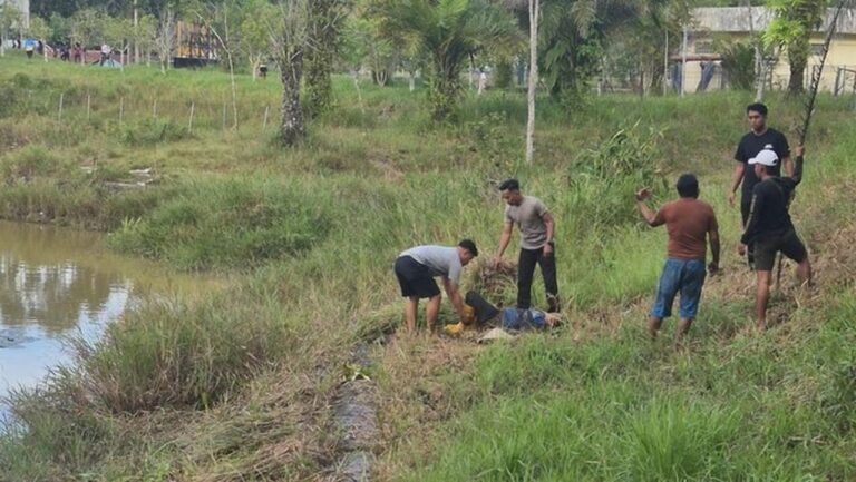 Buaya 3 Meter Terkam Emak-emak di Tarakan, Polisi Berhasil Selamatkan Korban