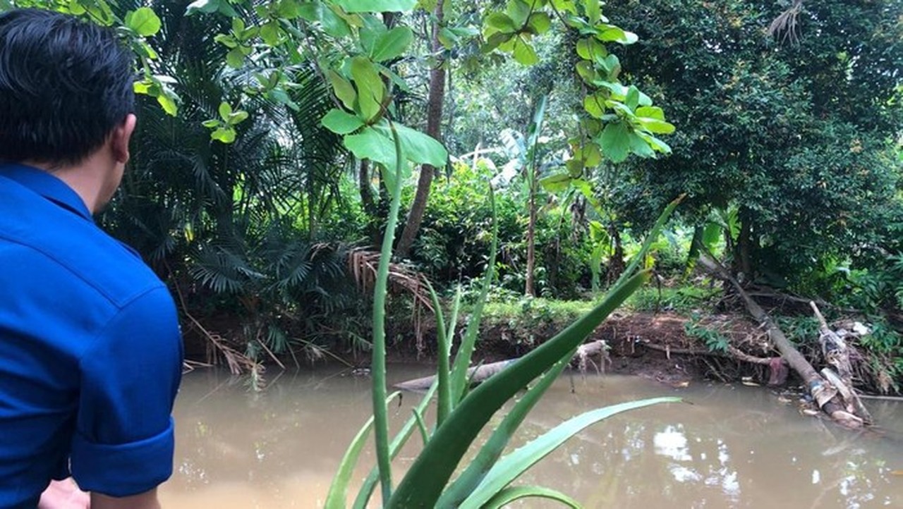 Buaya ‘Lisa’ Muncul di Dekat SMAN 5 Depok, Damkar Lakukan Peninjauan Lokasi