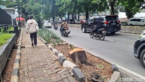 Oknum ASN Dinas Bina Marga Jaksel Dimutasi Akibat Tebang Pohon Ilegal