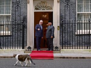 Prabowo Subianto ‘Akrab’ dengan Larry the Cat di Downing Street, Ingatkan pada Bobby di RI