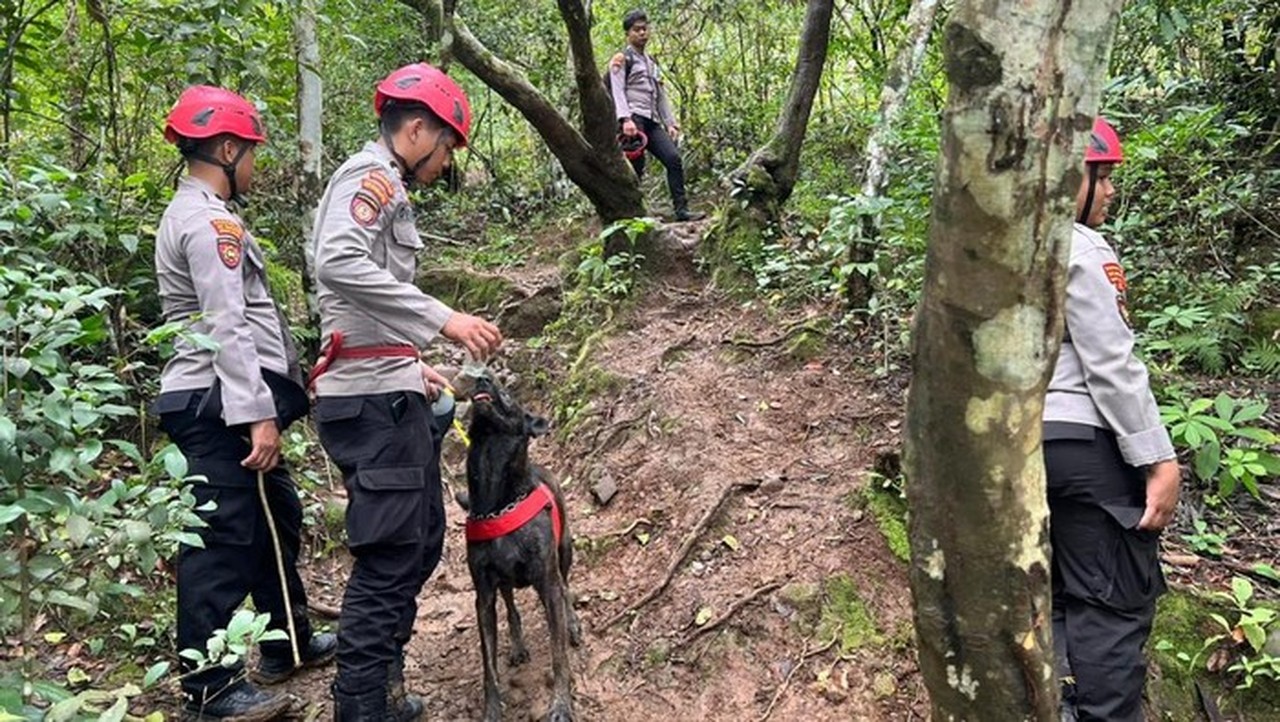 Polda Sulsel Kerahkan Anjing Pelacak K-9 Cari Korban Pesawat ATR 42-500 di Pangkep Polda Sulsel Kerahkan Anjing Pelacak K-9 Cari Korban Pesawat ATR 42-500 di Pangkep