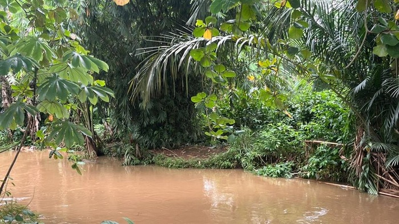 Buaya ‘Lisa’ 1,5 Meter Muncul di SMAN 5 Depok, Sekolah Khawatir Serang Siswa Buaya ‘Lisa’ 1,5 Meter Muncul di SMAN 5 Depok, Sekolah Khawatir Serang Siswa