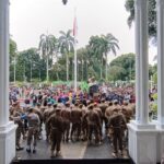 Demo Sopir Angkot Bogor Berujung Penghentian Razia Kendaraan Tua