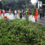 BPBD DKI Jakarta Keluarkan Peringatan Angin Kencang 23-24 Januari 2026