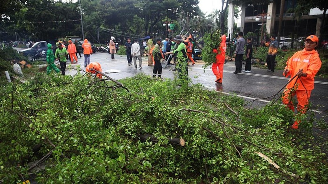 BPBD DKI Jakarta Keluarkan Peringatan Angin Kencang 23-24 Januari 2026