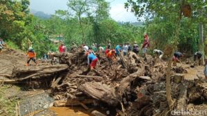 Banjir Bandang Purbalingga Terjang Desa Mrebet, Bawa Kayu Gelondongan dan Renggut Nyawa