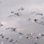 Ikan Mati Massal di Situ Citongtut Bogor, Pemkab Bogor Bentuk Tim Investigasi