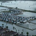 Banjir 5.168 Hektare Sawah Bekasi, Petani Terancam Gagal Panen Akibat Luapan Sungai