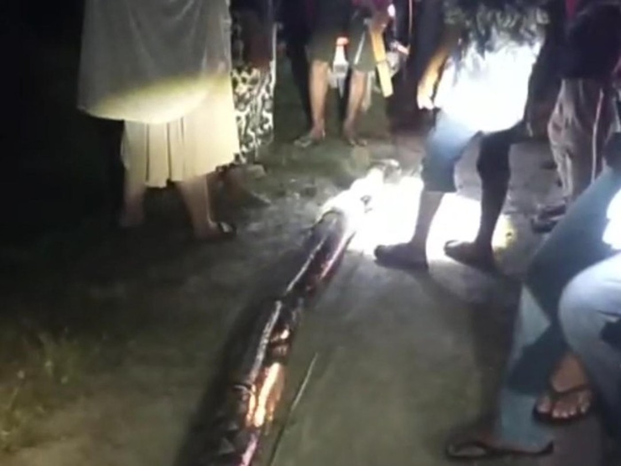 Wanita di Maros Nyaris Tewas Dililit Ular Piton 8 Meter Saat Hendak Bangun untuk Salat Subuh Wanita di Maros Nyaris Tewas Dililit Ular Piton 8 Meter Saat Hendak Bangun untuk Salat Subuh