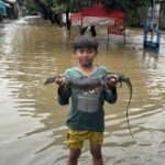 Warga Kranji Bekasi Tangkap 3 Ular Sanca dan 1 Biawak di Tengah Banjir