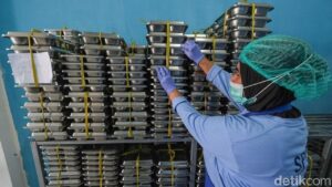 109 Siswa SMAN 2 Kudus Diduga Keracunan Massal Usai Santap Makanan Bergizi Gratis