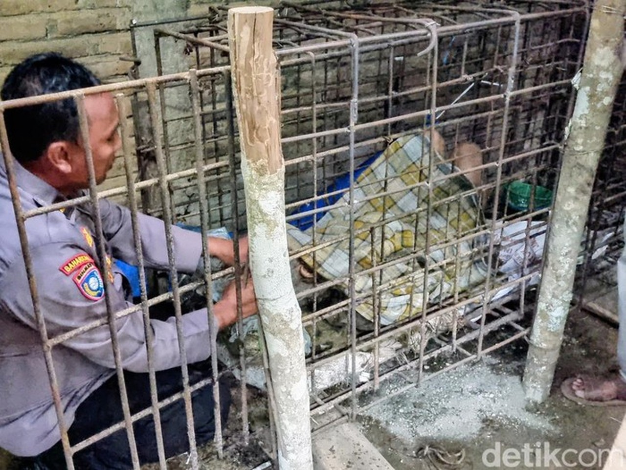 Ipda Purnomo Saat Evakuasi Odgj Yang Dipasung Keluarga Selama 20 Tahun (foto: Charolin Pebrianti/detikjatim)