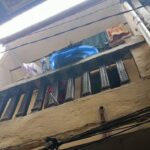 Balita Jatuh dari Lantai 2 Rumah di Jatinegara, Polisi Pastikan Pengawasan Ketat