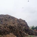 Sampah Menggunung di Pasar Induk Kramat Jati, Bau Busuk Ganggu Warga Hingga Ratusan Meter