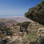 Tiga WNI Terjebak di Socotra Yaman Saat Serangan Koalisi Saudi, Kondisi Aman