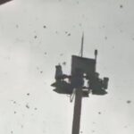 Puting Beliung Guncang Parkiran Bandara Juanda, Pohon Tumbang