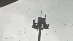 Puting Beliung Guncang Parkiran Bandara Juanda, Pohon Tumbang