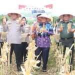 Panen Raya Jagung 2 Ton di Tangerang, Bukti Ketahanan Pangan di Lahan Sulit