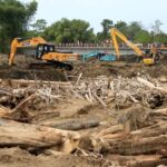 Satgas PKH Ungkap 12 Perusahaan Jadi Penyebab Banjir Sumatera, Terancam Sanksi Berat