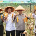 Dukung Swasembada Pangan, Polda Banten Panen Raya Jagung 4 Hektare di Serang