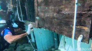 Nakhoda dan ABK KMP Putri Sakinah Ditetapkan Tersangka Kasus Tenggelam di Labuan Bajo