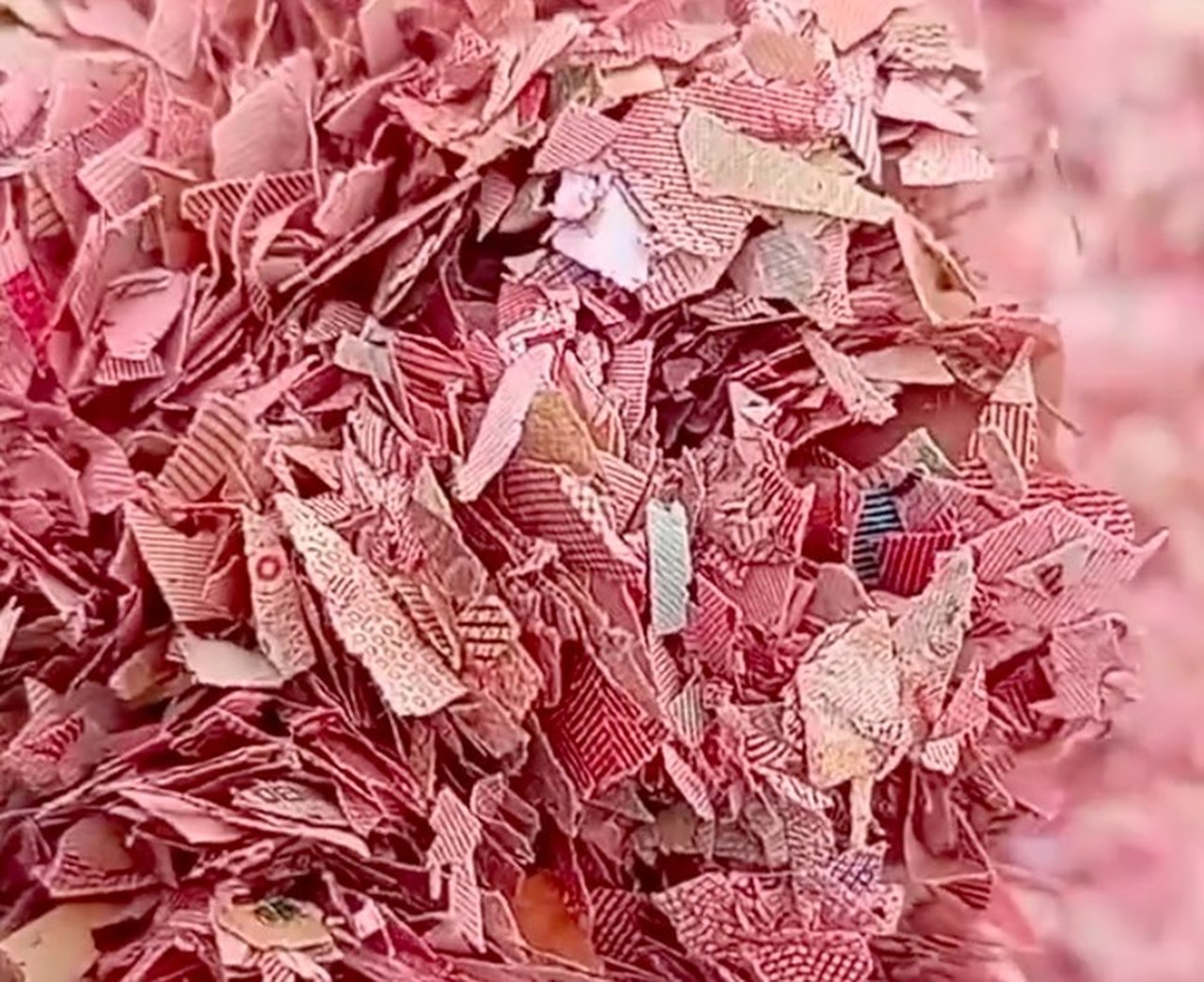 Pemilik Lahan TPS Liar Bekasi Ungkap Pihak Pembuang ‘Uang’ Cacahan