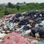 Cacahan Uang Rp 100 Ribu dan Rp 50 Ribu di Bekasi Ternyata Hasil Pemusnahan BI