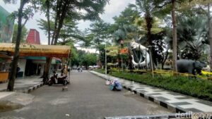 Kejati Jatim Geledah Kebun Binatang Surabaya Terkait Dugaan Korupsi Pengelolaan Keuangan 2013-2024