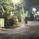 BMKG Ungkap Penyebab Gempa M 6,4 Pacitan: Aktivitas Subduksi Lempeng, Tak Berpotensi Tsunami