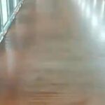 Skywalk Kebayoran Kini Bersih dari Kotoran Kucing Berkat Petugas Kebersihan yang Disiagakan