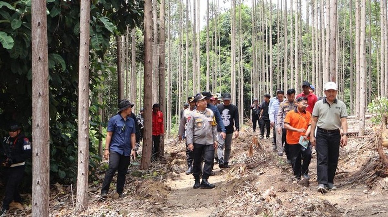 Gajah Sumatera Ditemukan Mati Mengenaskan di Riau, Polisi Buru Pelaku Pembunuhan Berencana