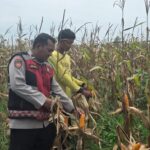 Aipda Iwan Haryanto: 15 Tahun Bina Ratusan Petani, Tingkatkan Ekonomi Desa di Ogan Ilir