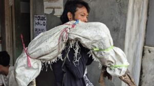 Pria Pemanggul Karung di Jakbar Viral Dikira Bawa Mayat, Ternyata Isi Biawak