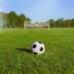 Jadwal Bola 10-11 Februari 2026: MU, Chelsea, dan Duel Sengit AFC Champions League Elite